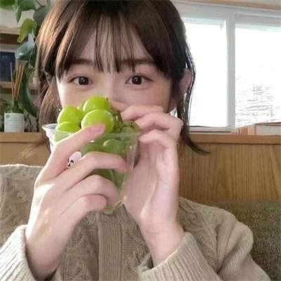 野狼历险记
